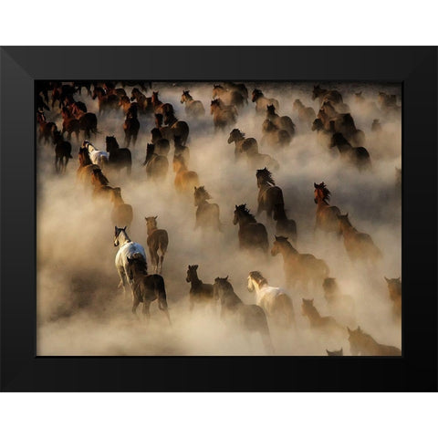 Wild horses Black Modern Wood Framed Art Print by Bedir, Mehmet