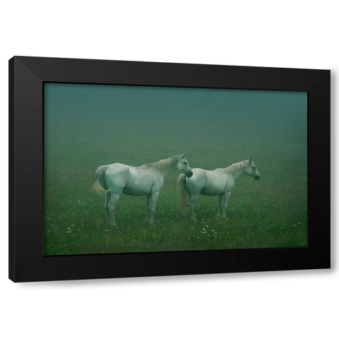 In the silent field Black Modern Wood Framed Art Print with Double Matting by Khemkum, Ekkachai