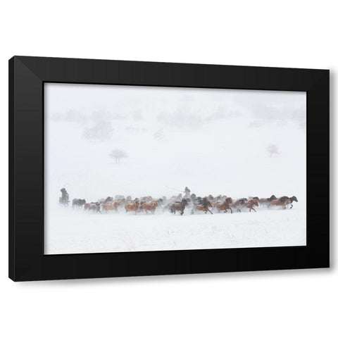 Winter Pastures Black Modern Wood Framed Art Print with Double Matting by Xu, Tony