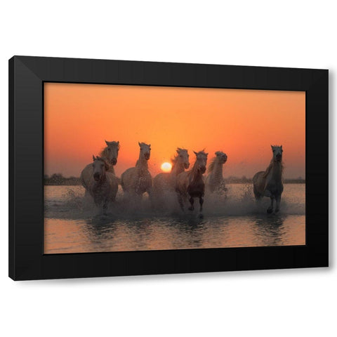 Sunset in Camargue Black Modern Wood Framed Art Print by Anton, Rostovskiy