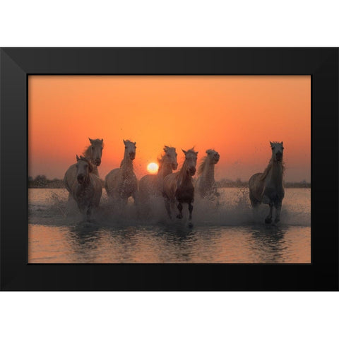 Sunset in Camargue Black Modern Wood Framed Art Print by Anton, Rostovskiy