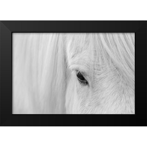 Whisper of Iceland Black Modern Wood Framed Art Print by Fan, John