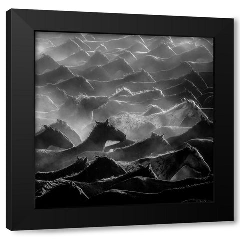 Horses Black Modern Wood Framed Art Print with Double Matting by Nisan Kandilcioglu, Ummu