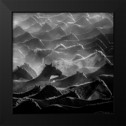 Horses Black Modern Wood Framed Art Print by Nisan Kandilcioglu, Ummu