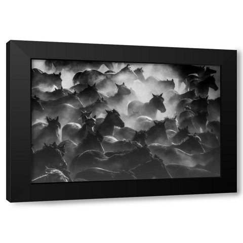 Horses 2 Black Modern Wood Framed Art Print by Nisan Kandilcioglu, Ummu