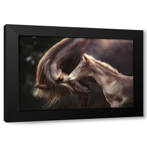 The Bond Black Modern Wood Framed Art Print with Double Matting by Willers, Heike