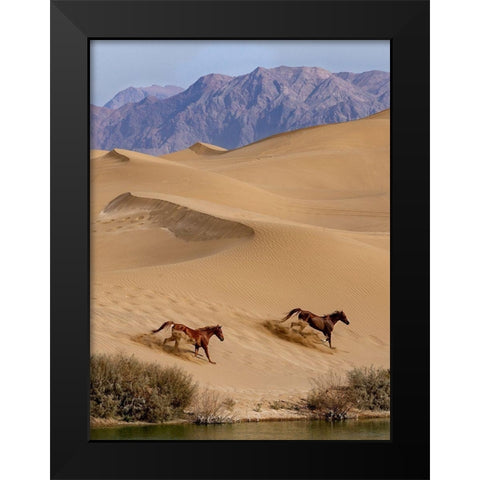 Salvation Black Modern Wood Framed Art Print by Fazaeli, Davoud