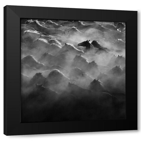 Leader Black Modern Wood Framed Art Print with Double Matting by Zheng, Na Anna
