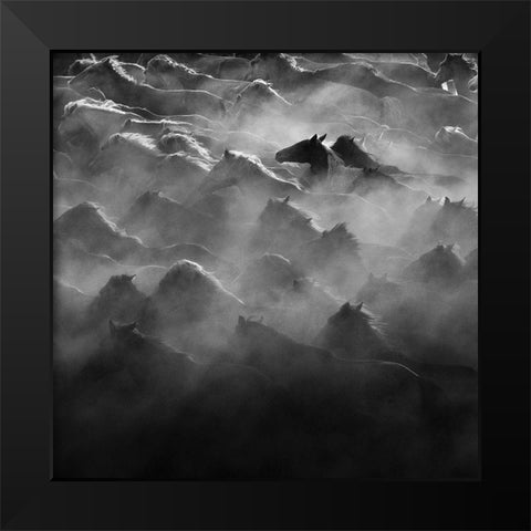 Leader Black Modern Wood Framed Art Print by Zheng, Na Anna