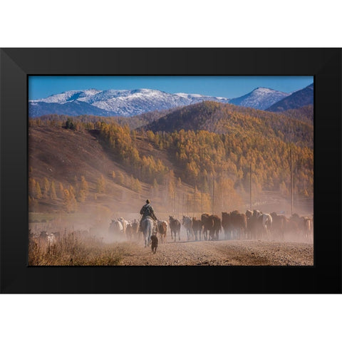 Road dust Black Modern Wood Framed Art Print by Rosenfeld, Haim