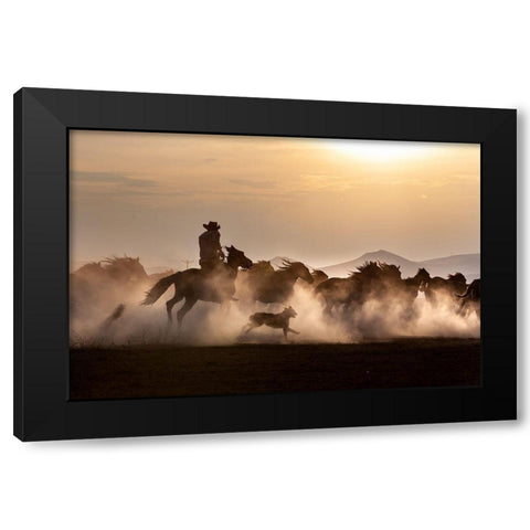 Noble Horses Black Modern Wood Framed Art Print with Double Matting by Atabek, ismail