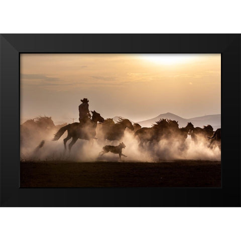 Noble Horses Black Modern Wood Framed Art Print by Atabek, ismail