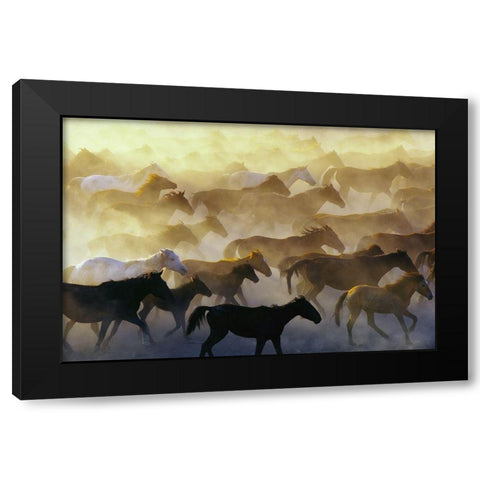 Wild horses Black Modern Wood Framed Art Print by Bagci, Emir