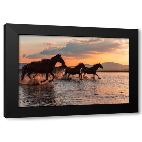 Water Horses Black Modern Wood Framed Art Print with Double Matting by Tekdogan, Barkan