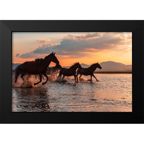 Water Horses Black Modern Wood Framed Art Print by Tekdogan, Barkan