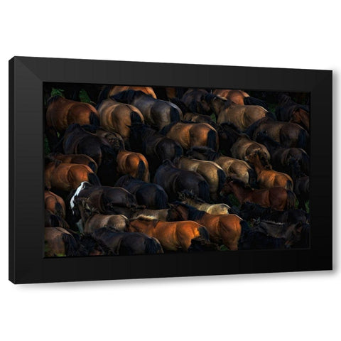 Wild horses Black Modern Wood Framed Art Print by Szuszkiewicz, Konrad