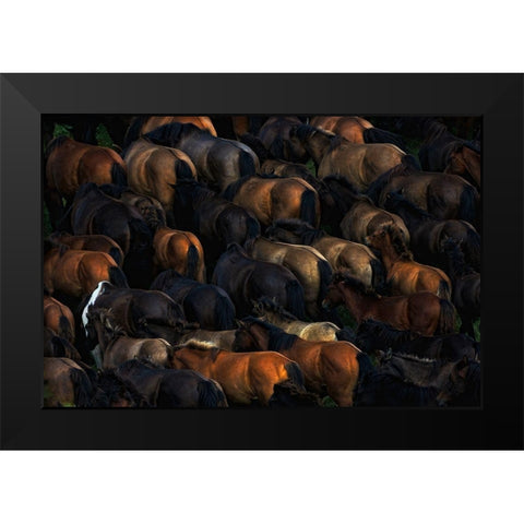 Wild horses Black Modern Wood Framed Art Print by Szuszkiewicz, Konrad