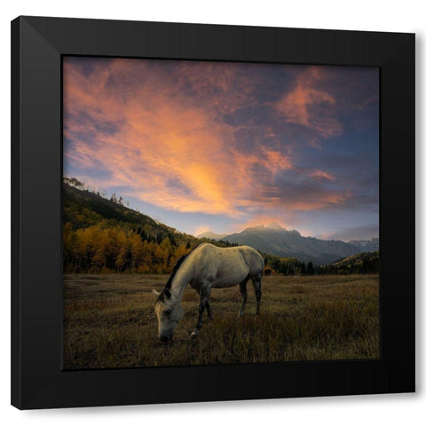 The Paradise Black Modern Wood Framed Art Print by Fan, John