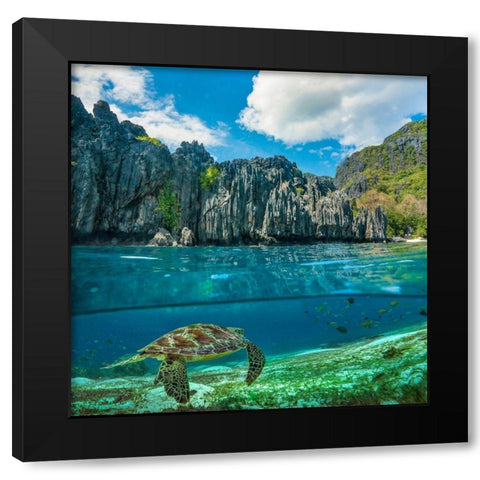 Green sea turtle and sharst cliffs near Secret Lagoon-Palawan-Philippines Black Modern Wood Framed Art Print by Fitzharris, Tim