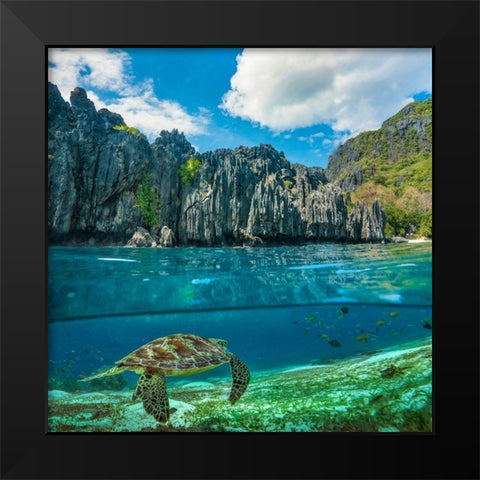 Green sea turtle and sharst cliffs near Secret Lagoon-Palawan-Philippines Black Modern Wood Framed Art Print by Fitzharris, Tim