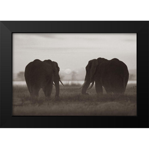 African Elephants at sunrise-Amboseli National Reserve-Kenya Sepia Black Modern Wood Framed Art Print by Fitzharris, Tim