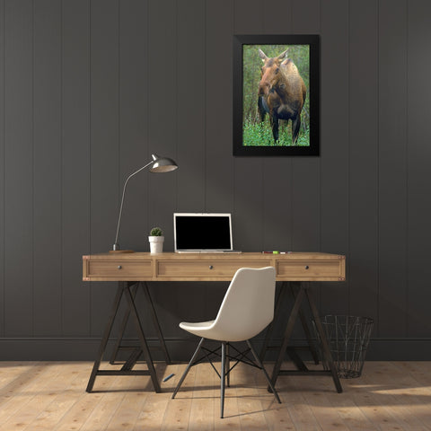 Moose Black Modern Wood Framed Art Print by Fitzharris, Tim