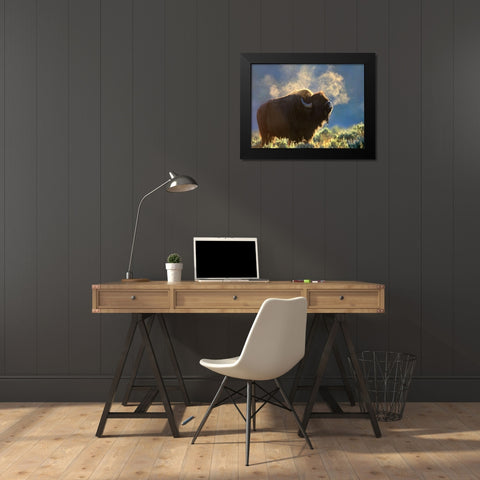 Bison Black Modern Wood Framed Art Print by Fitzharris, Tim