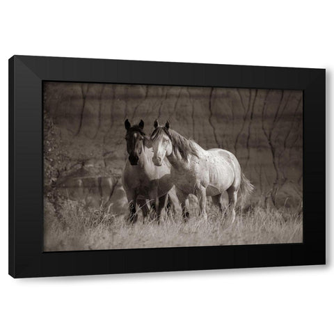 Wild horses Badlands Natl Park SD Sepia Black Modern Wood Framed Art Print with Double Matting by Fitzharris, Tim