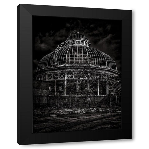 Allan Gardens Conservatory Toronto Black and White Black Modern Wood Framed Art Print by Carson, Brian