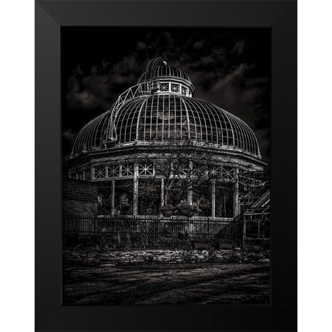Allan Gardens Conservatory Toronto Black and White Black Modern Wood Framed Art Print by Carson, Brian