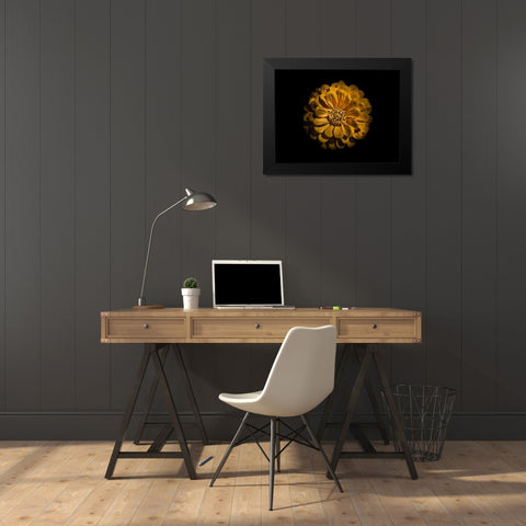 Backyard Flowers Gold 58 Black Modern Wood Framed Art Print by Carson, Brian