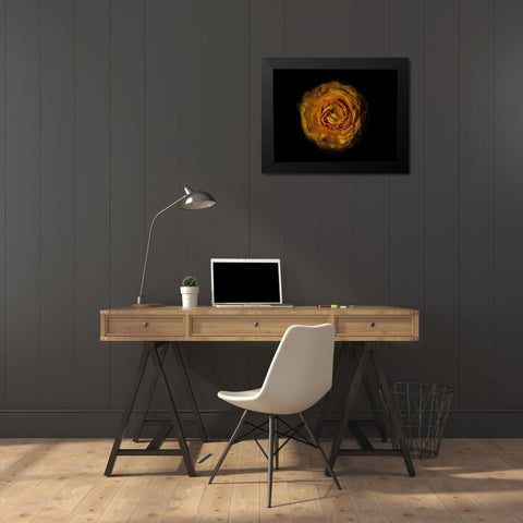 Backyard Flowers Gold 73 Black Modern Wood Framed Art Print by Carson, Brian