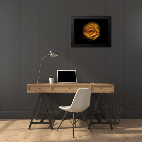 Backyard Flowers Gold 74 Black Modern Wood Framed Art Print by Carson, Brian