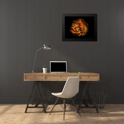 Backyard Flowers Gold 80 Black Modern Wood Framed Art Print by Carson, Brian