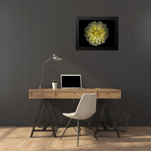 Backyard Flowers Yellow 86 Black Modern Wood Framed Art Print by Carson, Brian