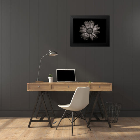 Backyard Flowers Black and White 78 Black Modern Wood Framed Art Print by Carson, Brian