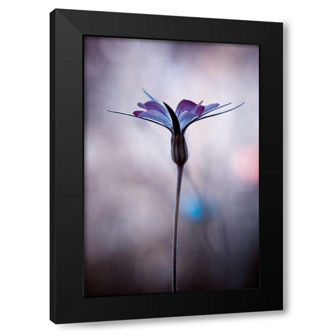 Sylvidra Black Modern Wood Framed Art Print by Bravin, Fabien