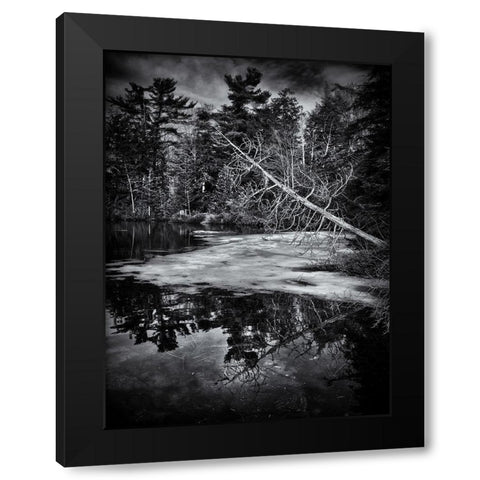 Gullwing Lake No 2 Black Modern Wood Framed Art Print with Double Matting by Carson, Brian