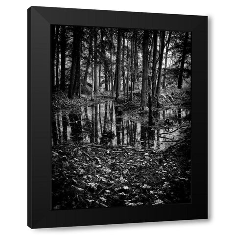 Gullwing Lake No 5 Black Modern Wood Framed Art Print with Double Matting by Carson, Brian