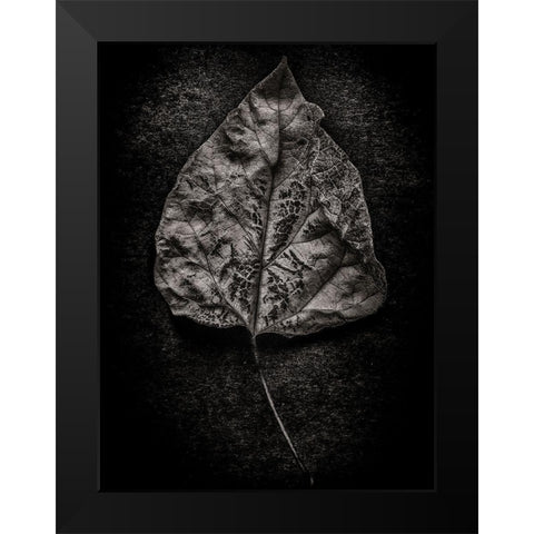Leaves No 1 Black and White Black Modern Wood Framed Art Print by Carson, Brian