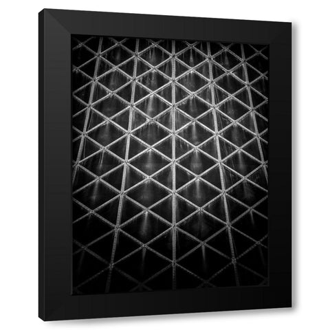 Roy Thomson Hall Toronto No 3 Black Modern Wood Framed Art Print by Carson, Brian