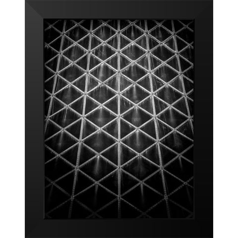 Roy Thomson Hall Toronto No 3 Black Modern Wood Framed Art Print by Carson, Brian