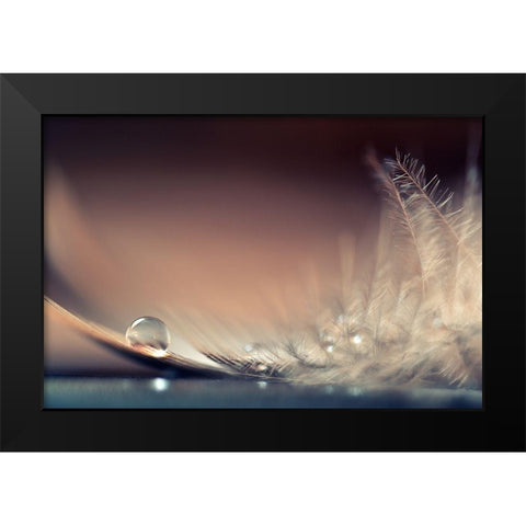 Stories of Drops Black Modern Wood Framed Art Print by Doronin, Dmitry
