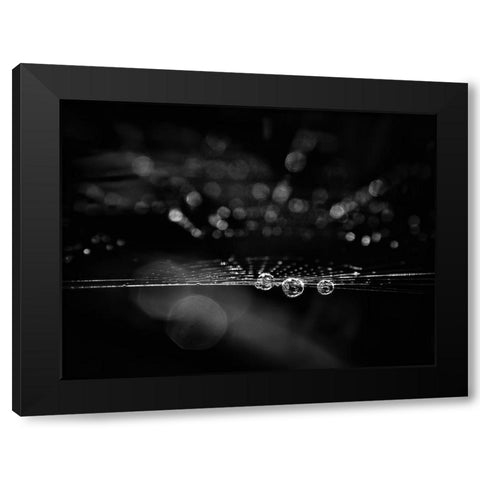 Spiderweb No 2 Black Modern Wood Framed Art Print with Double Matting by Carson, Brian