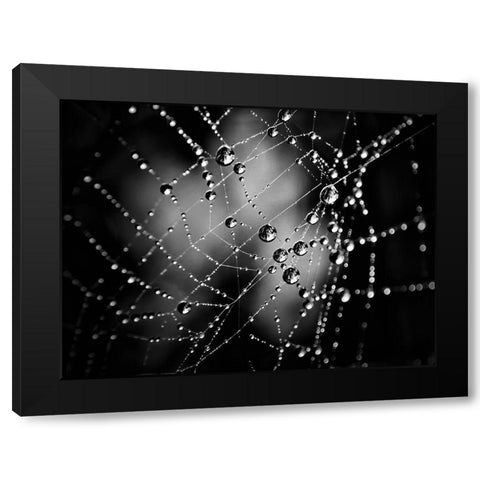 Spiderweb No 3 Black Modern Wood Framed Art Print with Double Matting by Carson, Brian