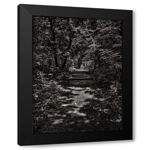 Walk in the Park Black Modern Wood Framed Art Print with Double Matting by Carson, Brian