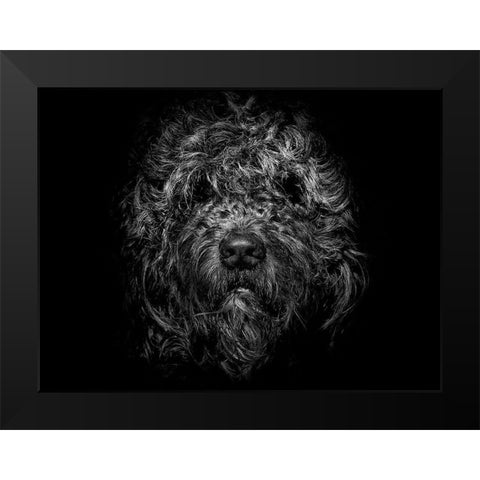 Ziggy Portrait Black Modern Wood Framed Art Print by Carson, Brian