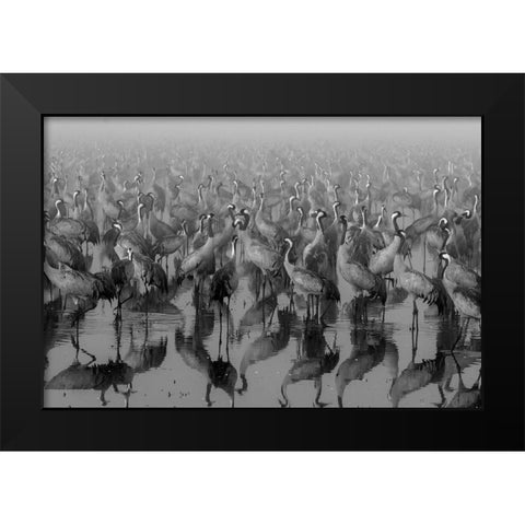 Crosspoint Black Modern Wood Framed Art Print by Meirovich, ido