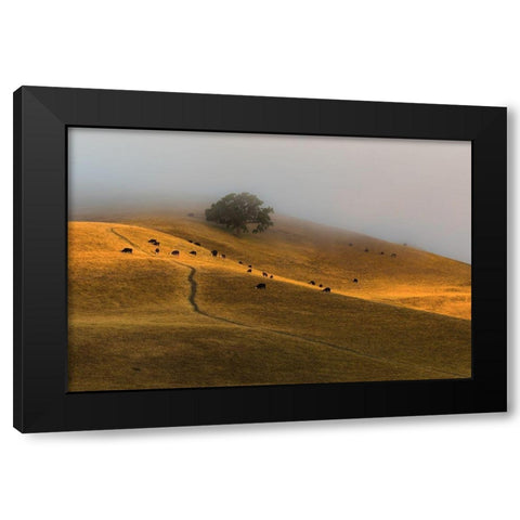 A Summer Morning in TriValley Black Modern Wood Framed Art Print with Double Matting by Qiu, Jenny