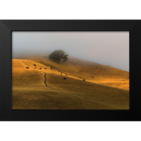 A Summer Morning in TriValley Black Modern Wood Framed Art Print by Qiu, Jenny